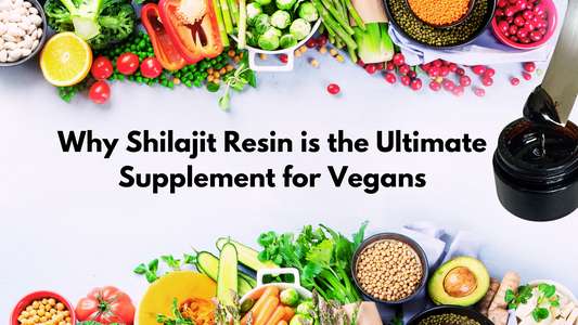 Benefits of Shilajit Resin for a Vegan Diet: The Ultimate Supplement for Vegans & Vegetarians